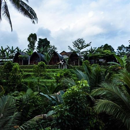 Omah Bapak Ijen Eco House Hotel Licin Eksteriør billede