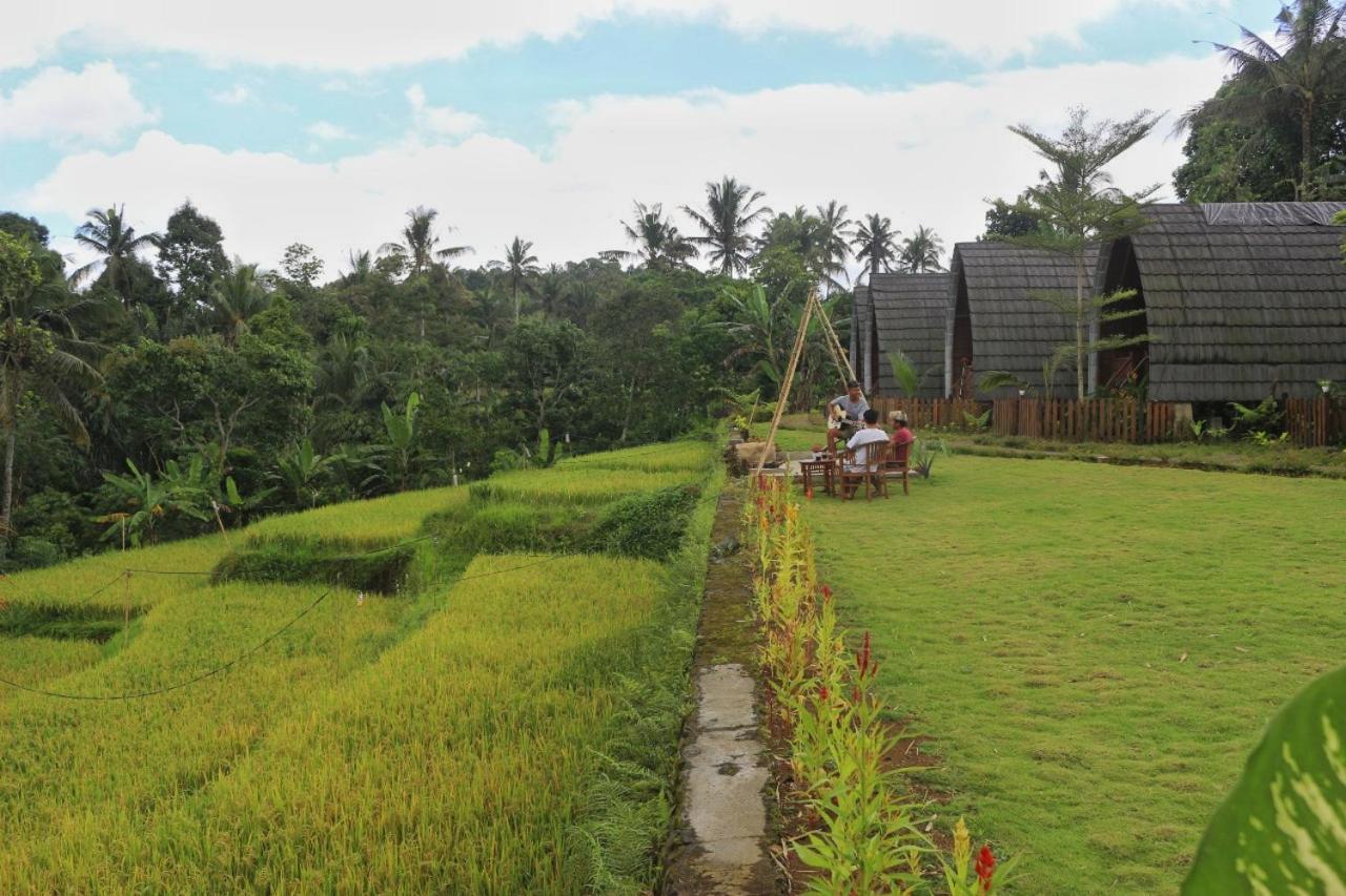 Omah Bapak Ijen Eco House Hotel Licin Eksteriør billede