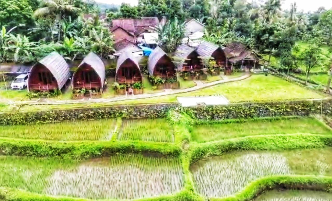 Omah Bapak Ijen Eco House Hotel Licin Eksteriør billede