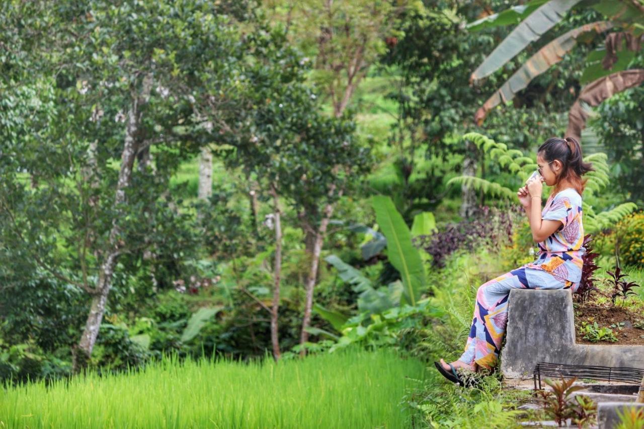 Omah Bapak Ijen Eco House Hotel Licin Eksteriør billede