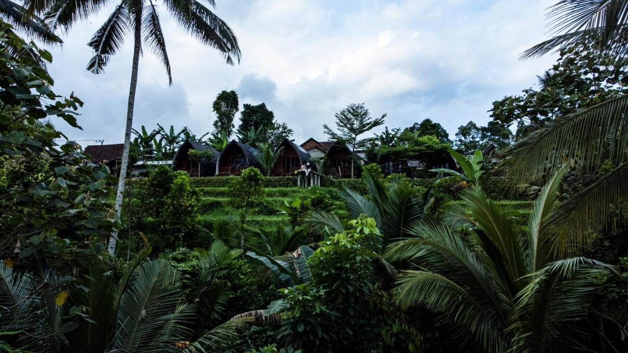Omah Bapak Ijen Eco House Hotel Licin Eksteriør billede