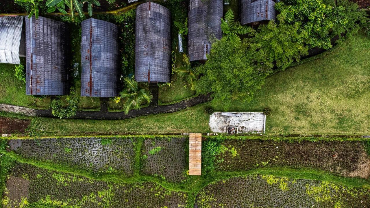 Omah Bapak Ijen Eco House Hotel Licin Eksteriør billede